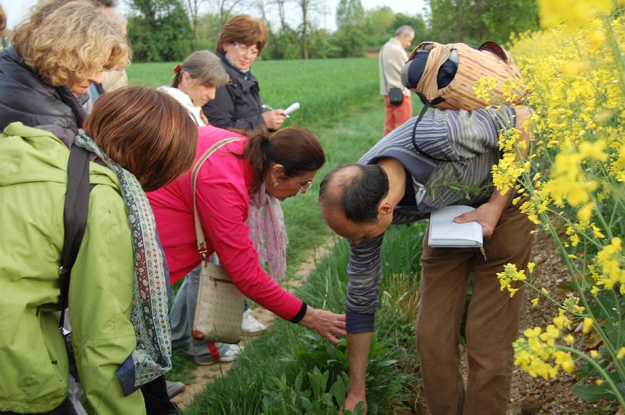 Il secondo gruppo